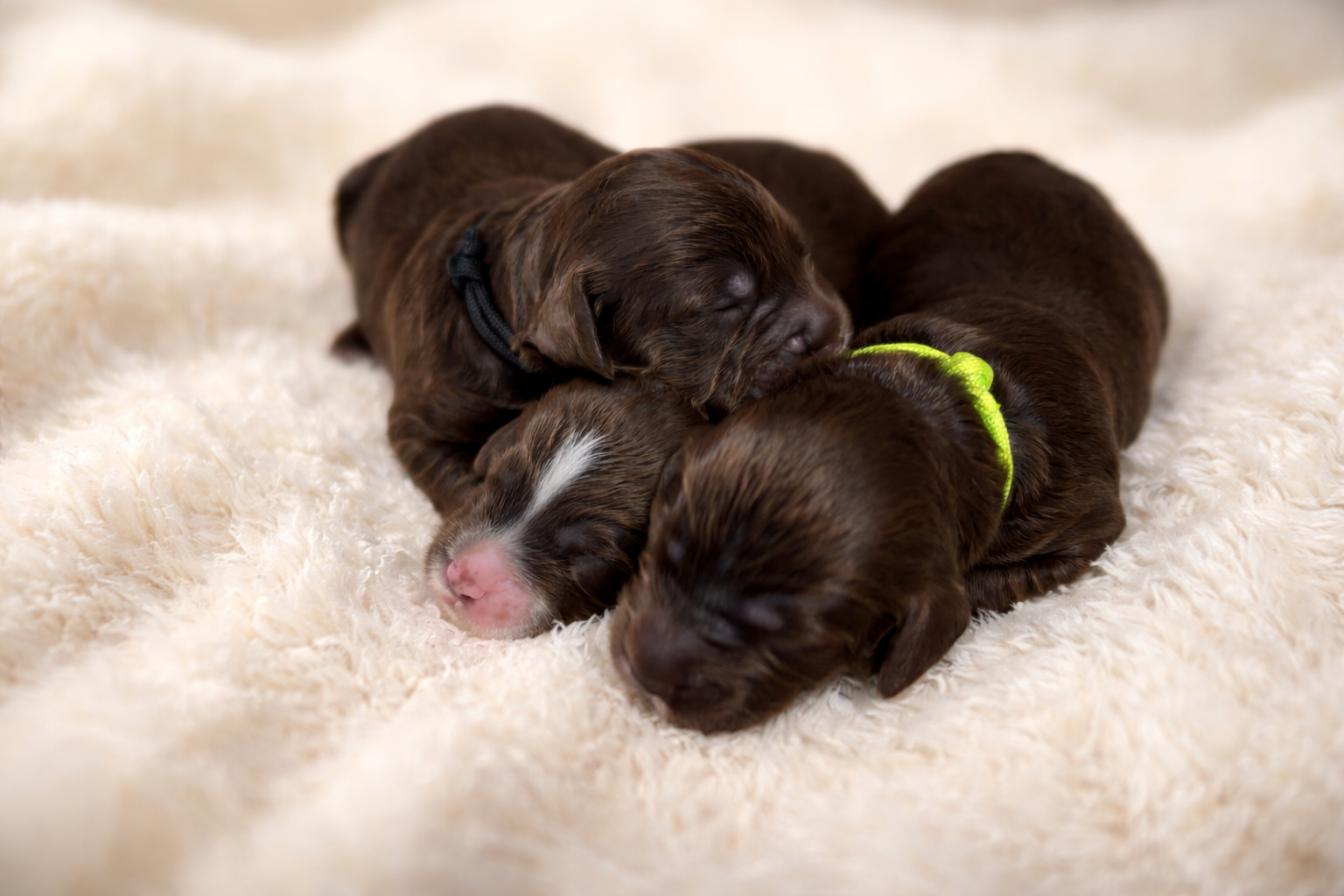 F11D44F5-60EF-4884-8E3C-3CF40CED2EB5 2.png