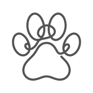 Brisbane registered breeder