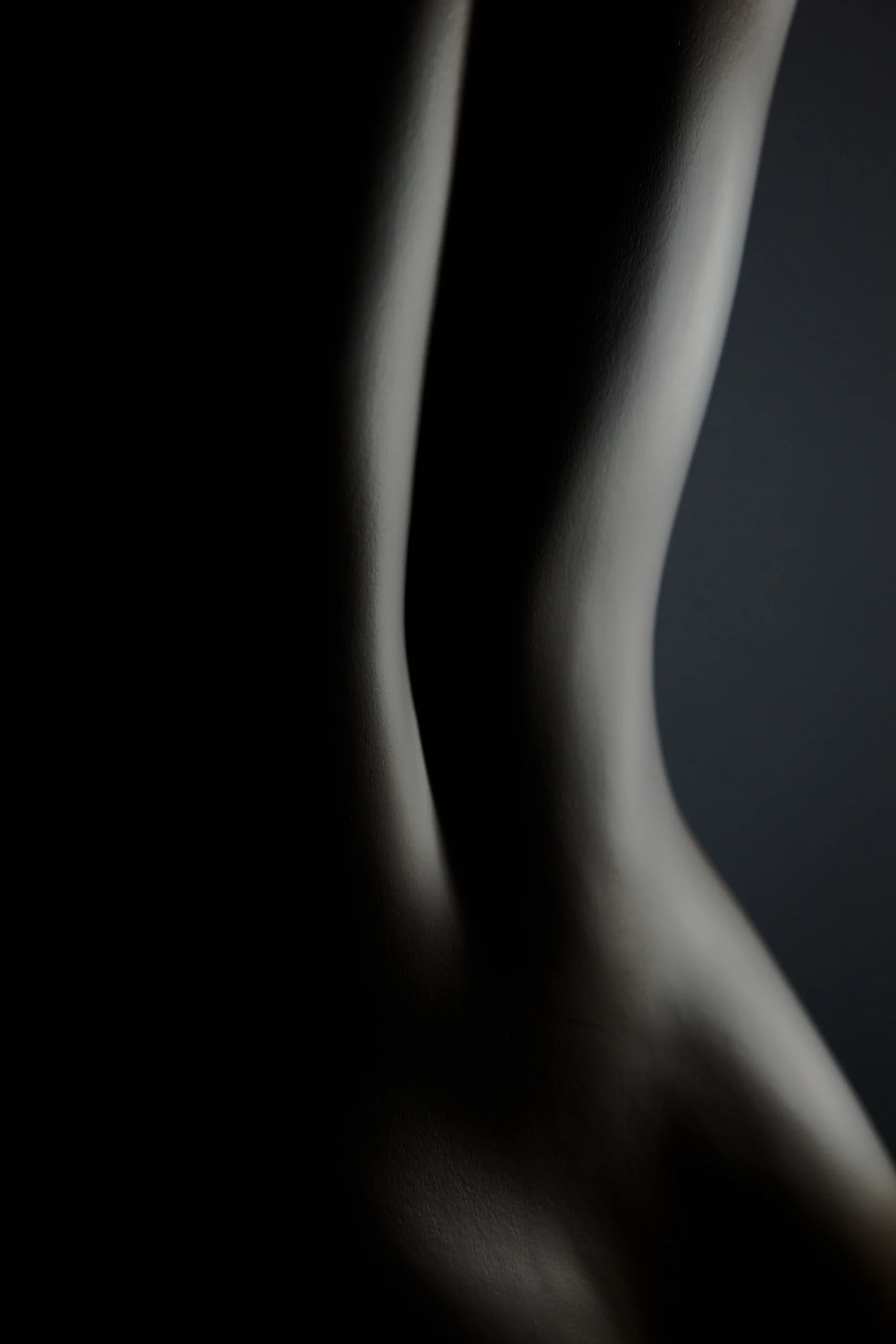 bodyline-3.jpg