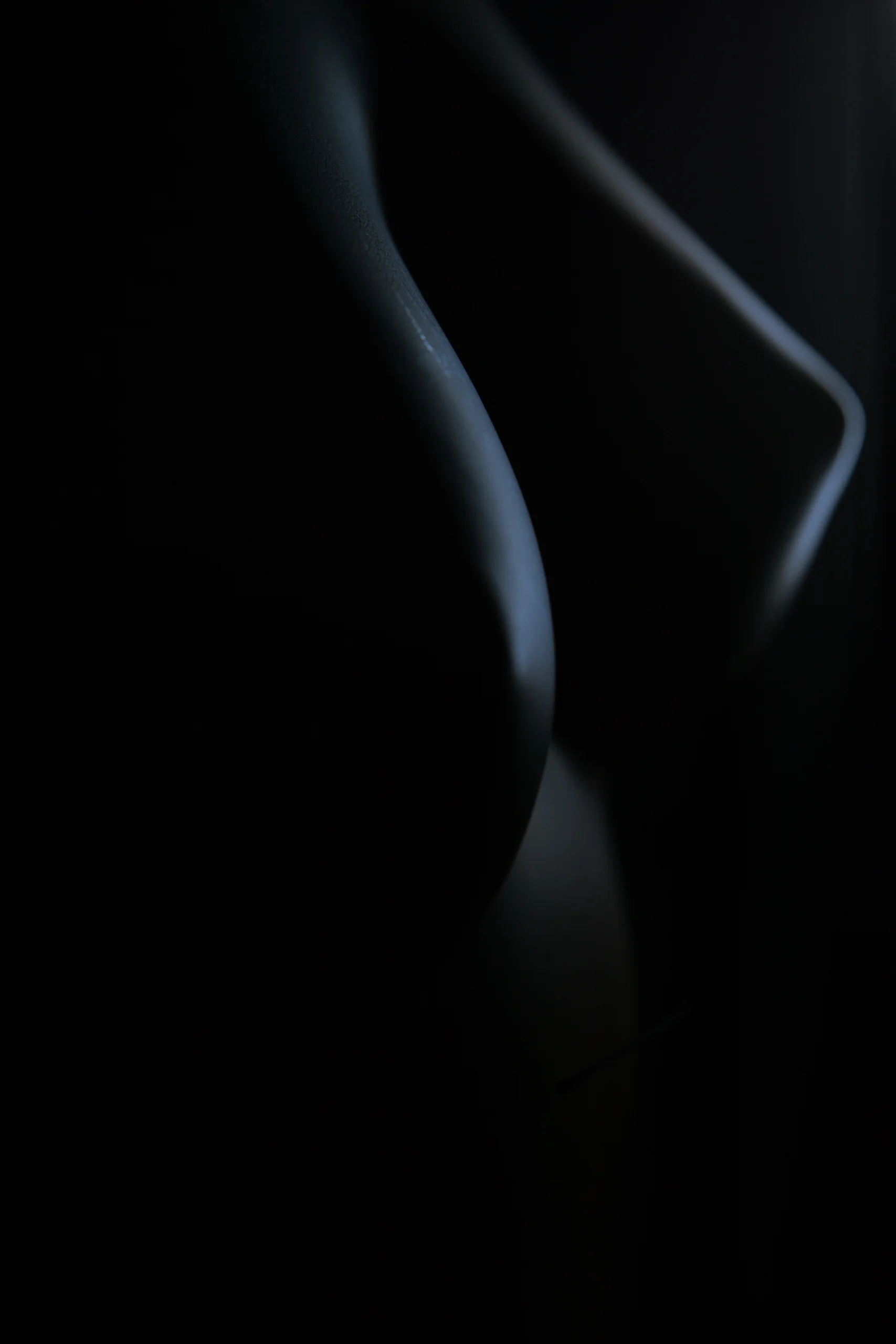 bodyline-4.jpg