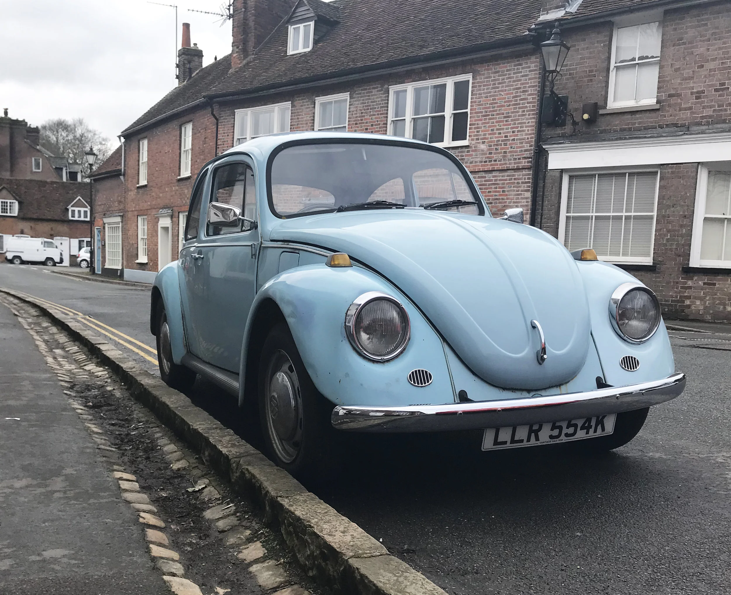 beetle3.jpg