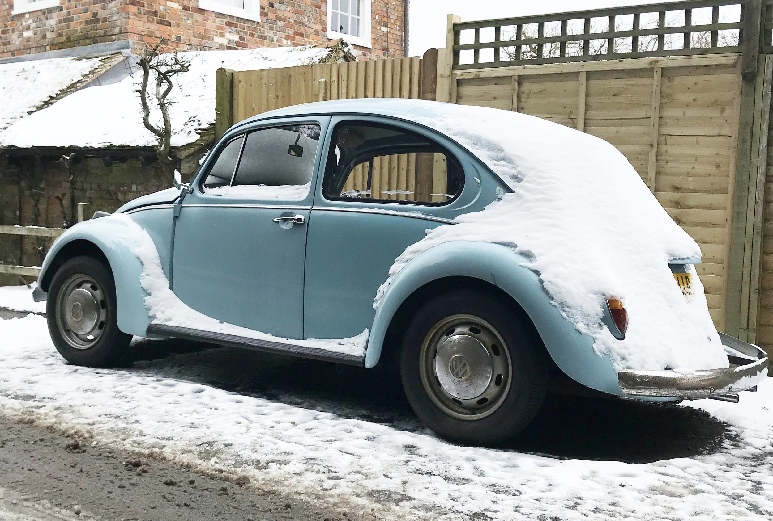 beetle2.jpg