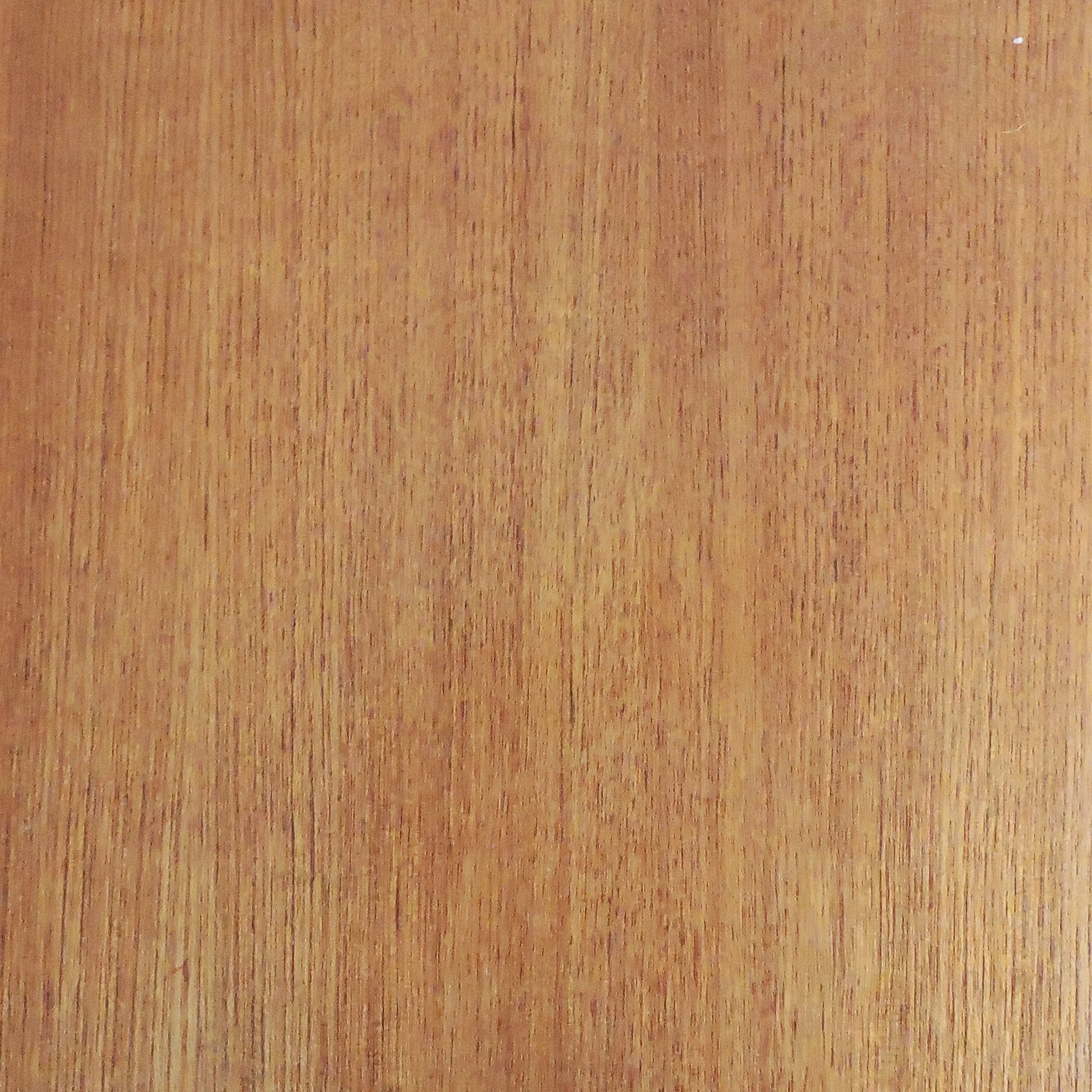 DSCN4481.jpg