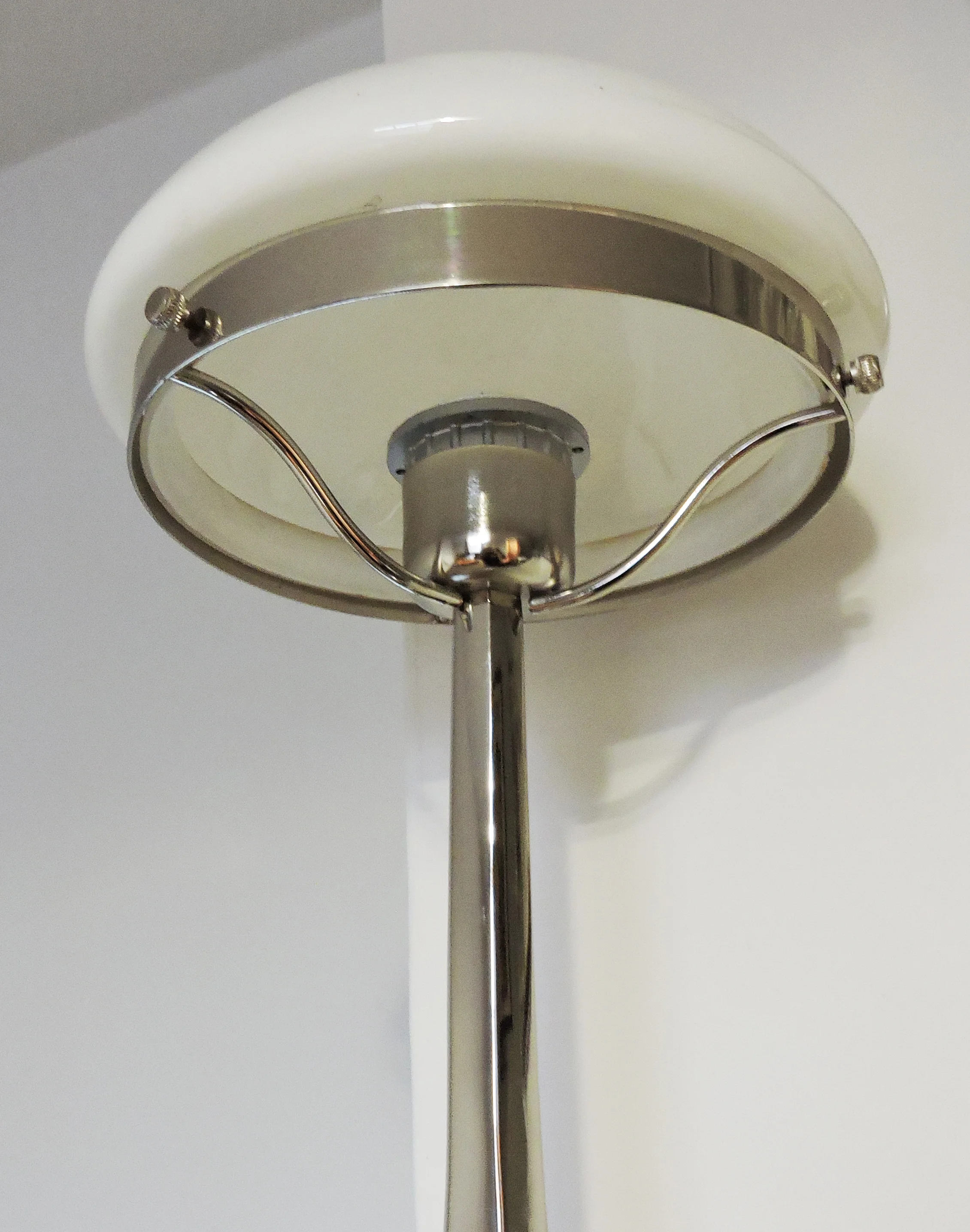 DSCN5134.jpg