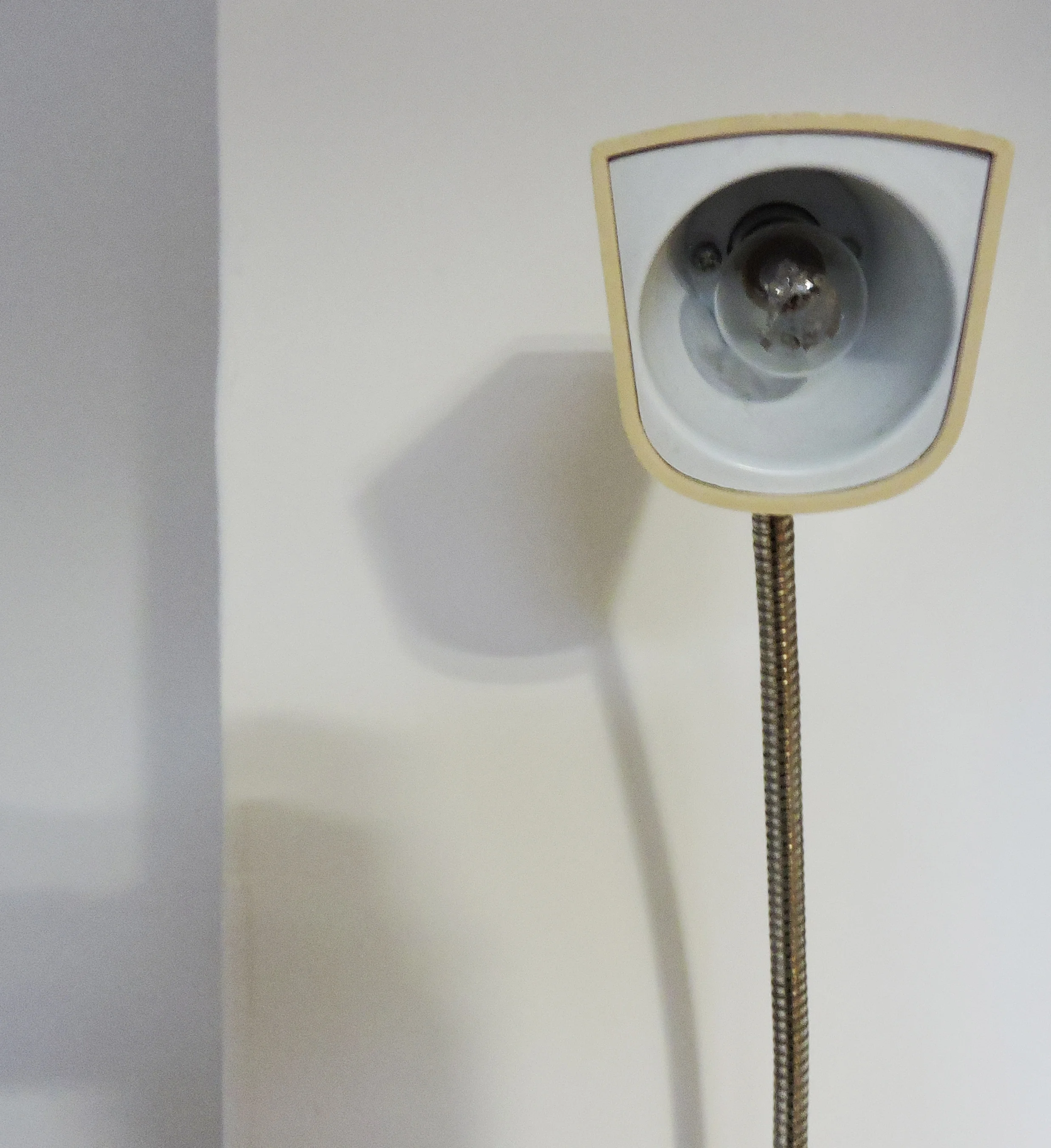 DSCN5147.jpg