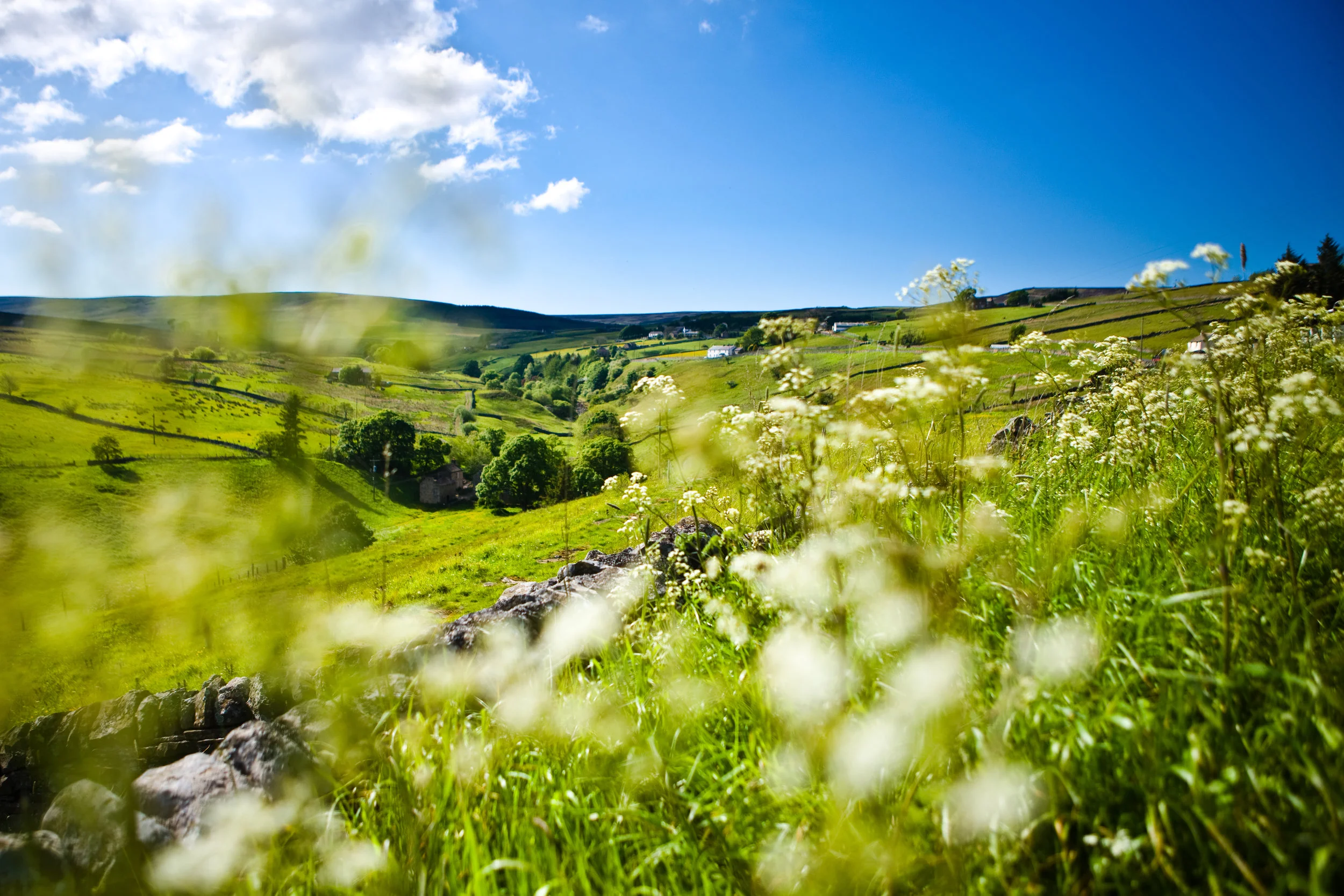 Durham Dales (14).jpg