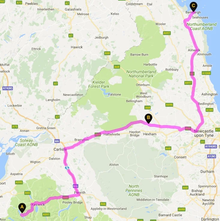 leg 12.jpg