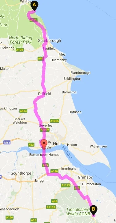Leg 14.jpg