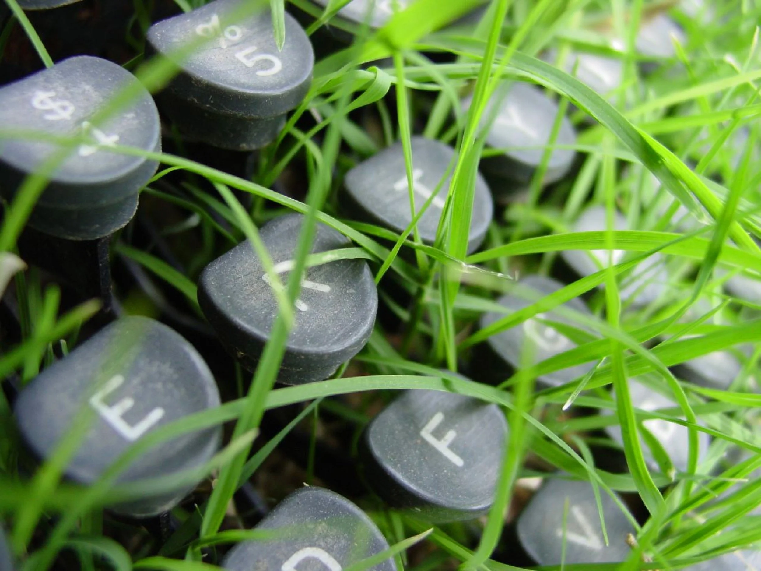closeup_grass_keyboards_macro_typewriters_depth_of_field_1280x960_wallpaper_Wallpaper_2560x1920_www.wallpaperswa.com.jpg