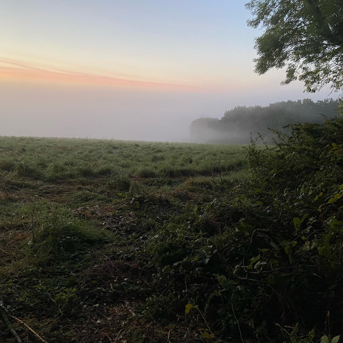 The last day of September&hellip; 🍂 

I went out for a forage this morning  and it was STUNNING! I even saw a majestic muntjac and it all felt SO magical 💫 

As you (hopefully) know by now, The Rural Travel Guide is all about where to stay and what