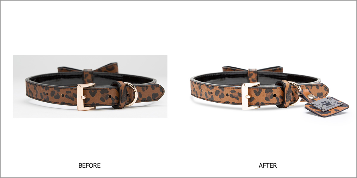 PostProd-DogCollar-JessicaBermudez.jpg
