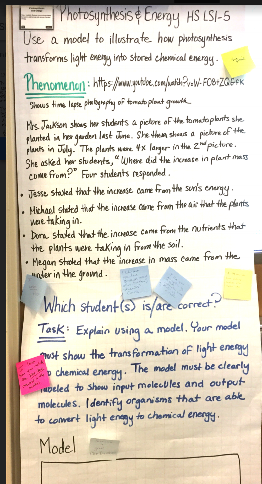 Photosynthesis Energy — The Wonder of Science