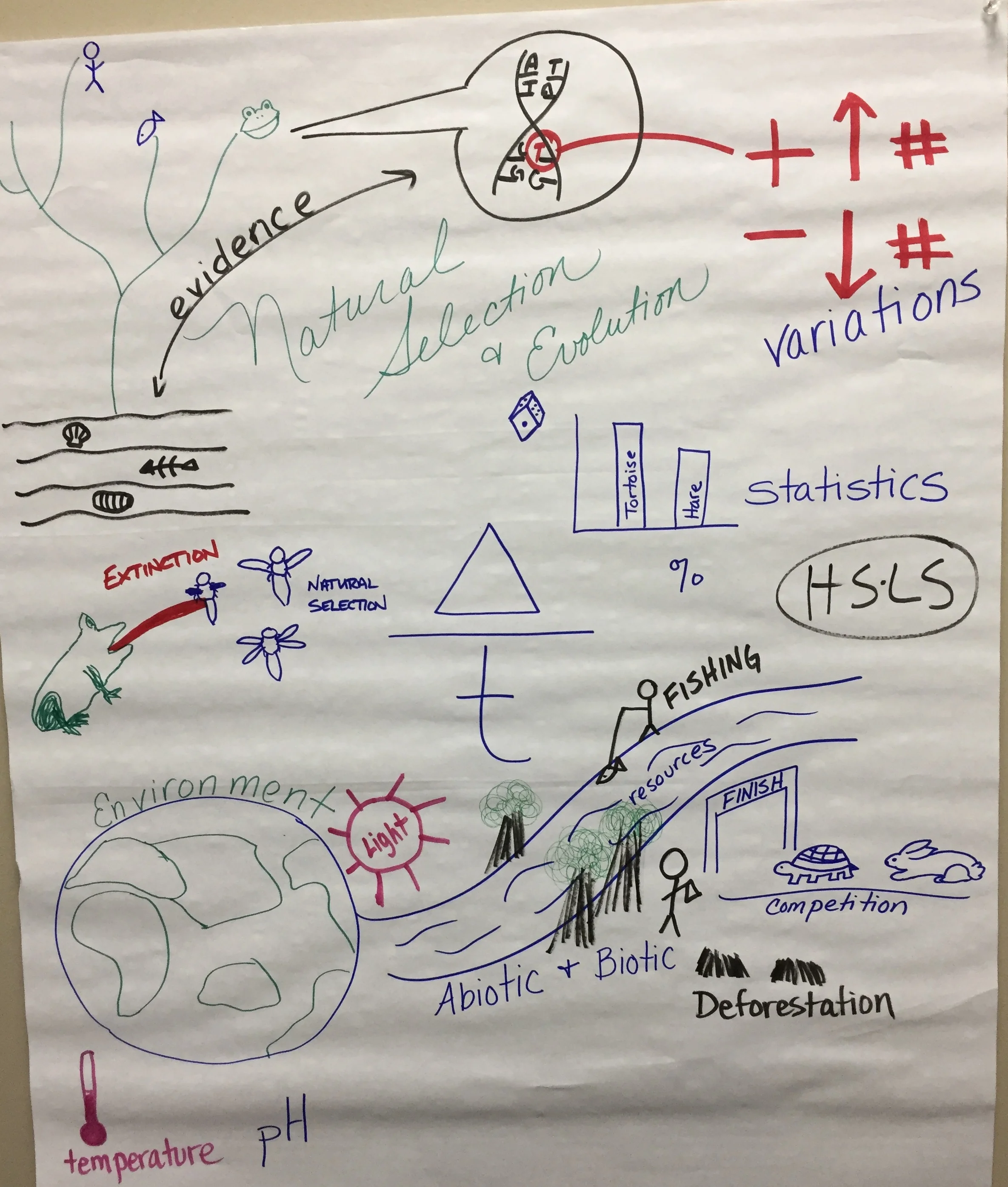 HS - Evolution and Natural Selectionw.JPG