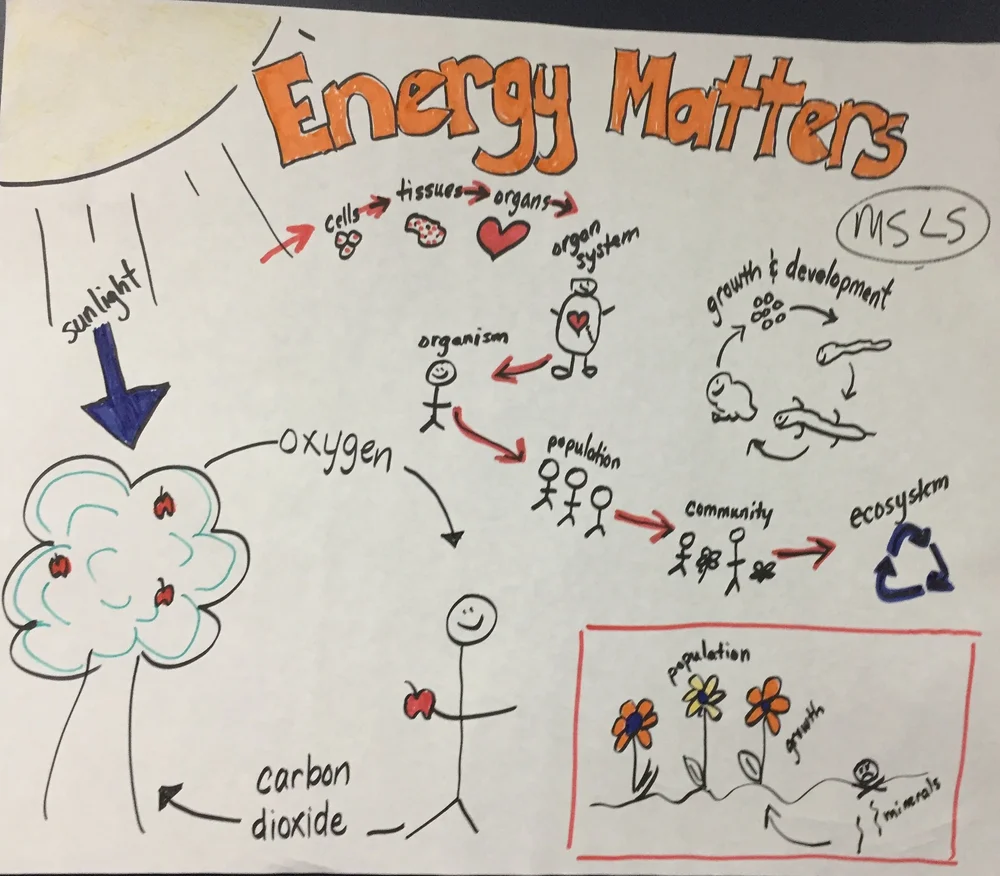 Matter and Energy in Life — The Wonder of Science