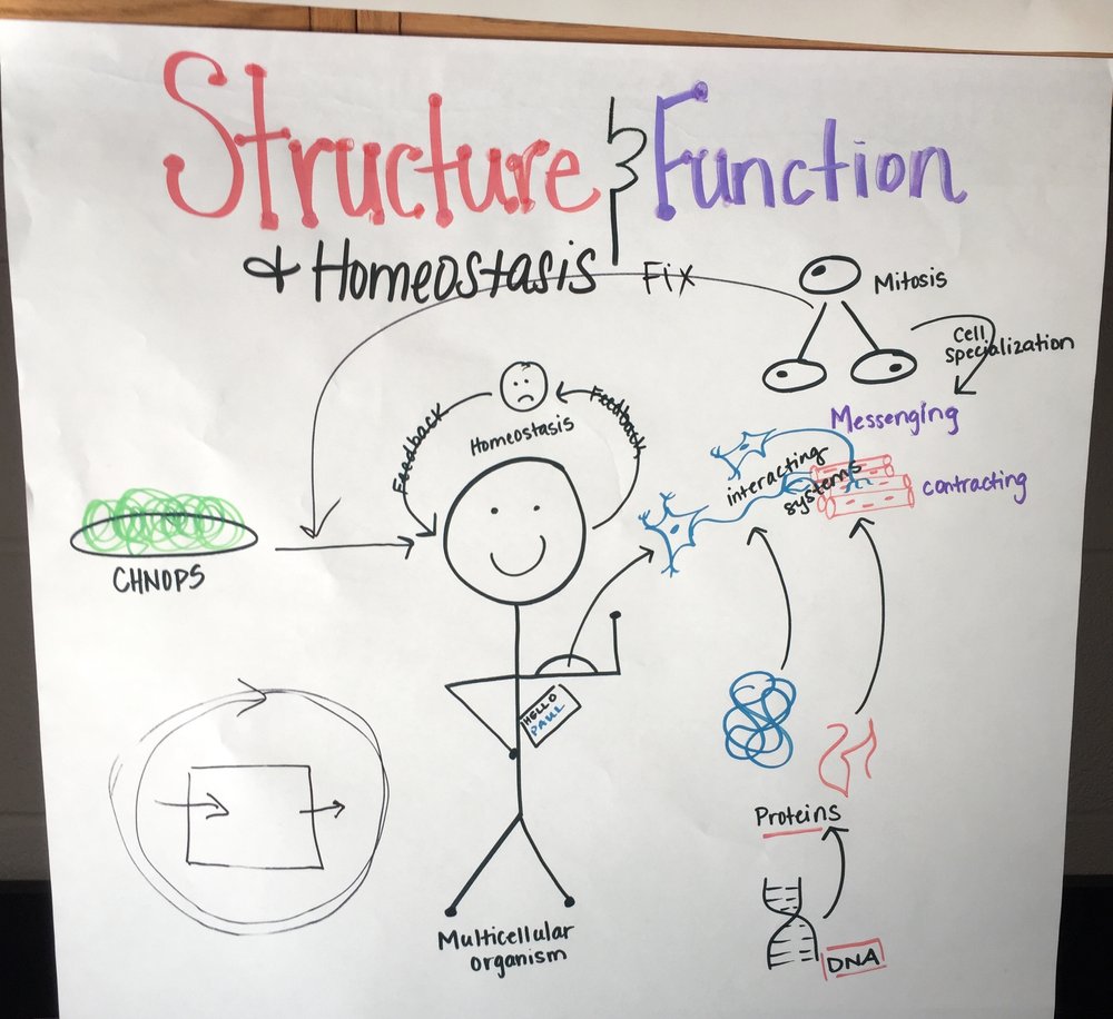 Molecules to Organisms — The Wonder of Science