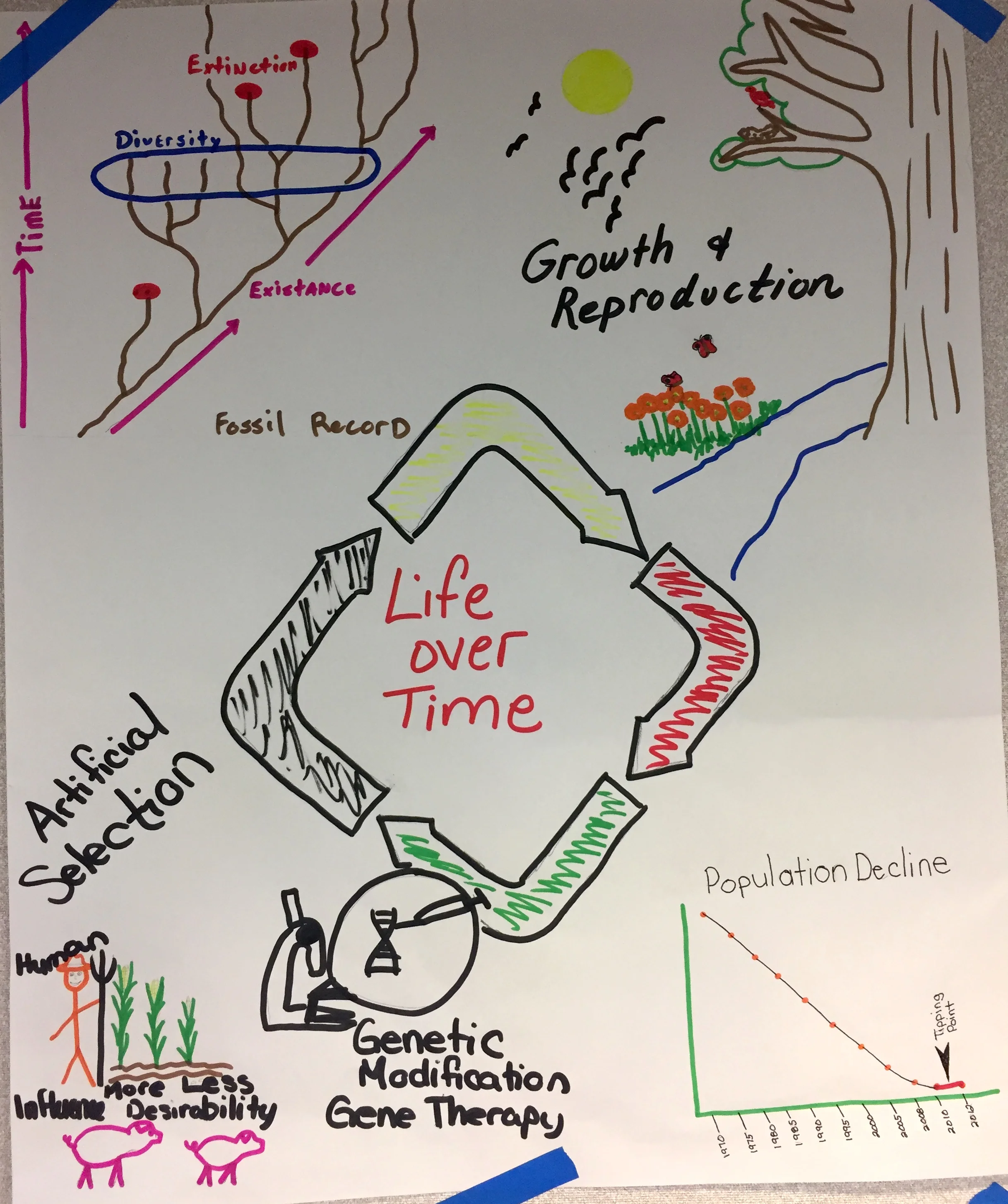 Life Over time — The Wonder of Science
