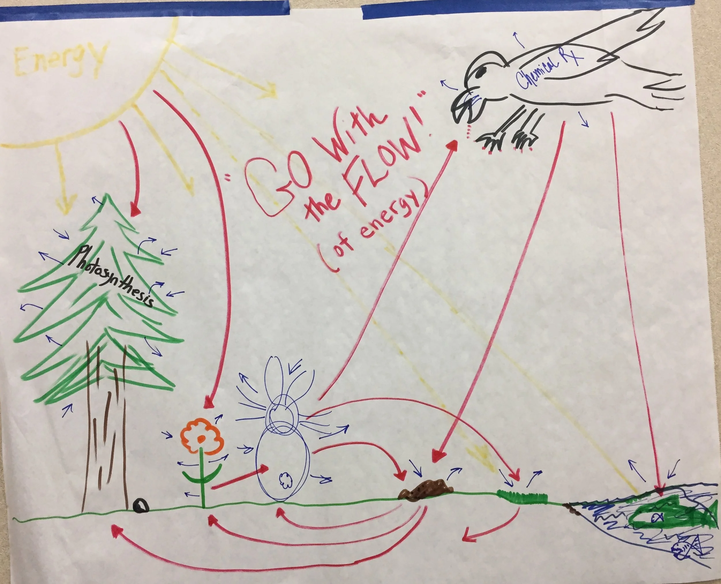 MS Matter and Energy in Life.JPG