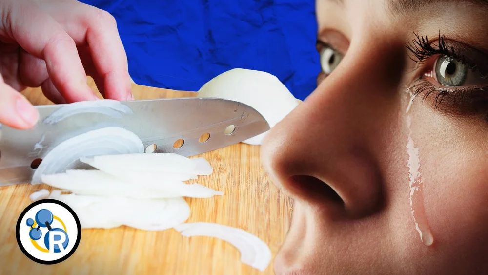 Why Does Cutting an Onion Make You Cry? — The Wonder of Science