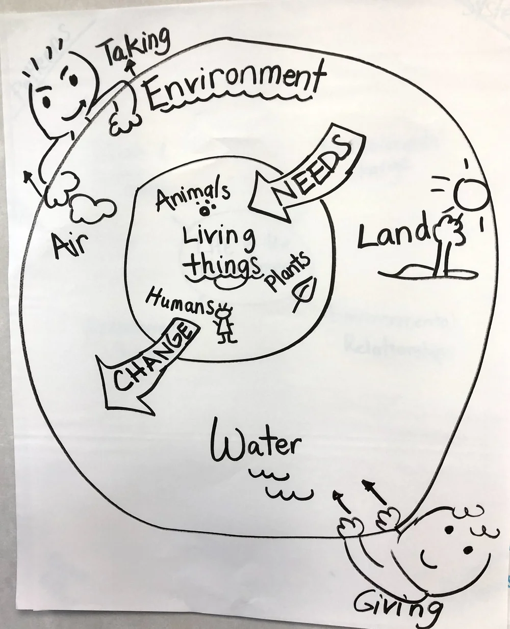 Life and the Environment — The Wonder of Science