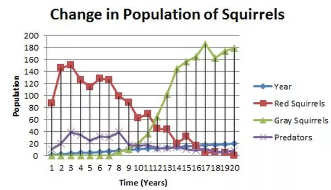 HS-PS3-4_Assessement_-_Squirrels_Dying_on_Road_-_Google_Docs.jpg