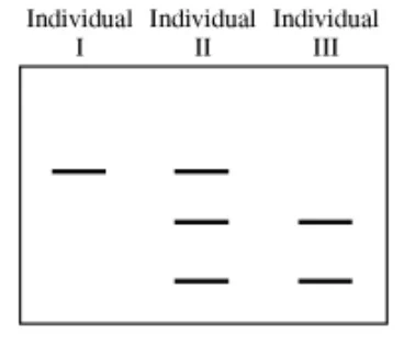 HS-LS3-1_Assessment_-_Chromosomal_Inheritance_-_Google_Docs.jpg