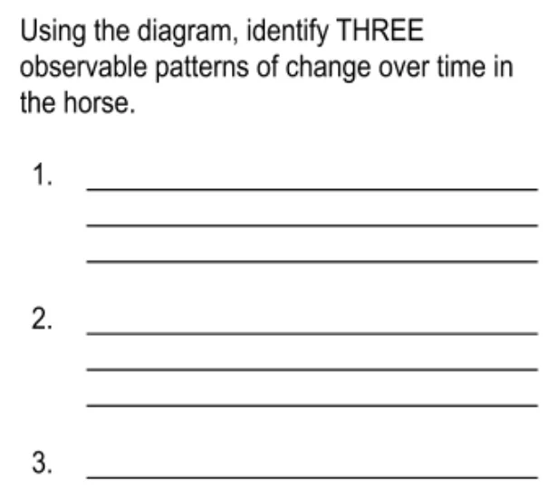 MS-LS4-1_Assessment_-_Ancient_Horse_Fossil_-_Google_Docs.jpg