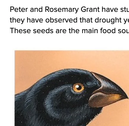 MS-LS4-4_Assessment_-_Grant_s_Finches_-_Google_Docs.jpg