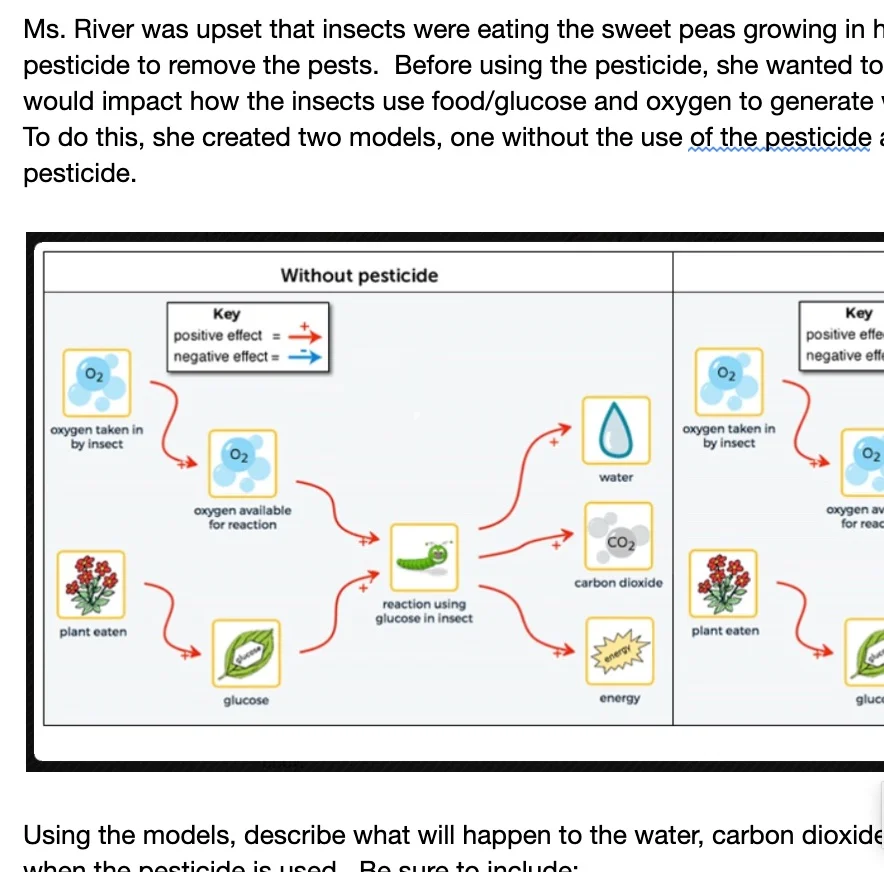 MS-LS1-7_Assessment_-_Pesticide_Use_on_Insects_-_Google_Docs.jpg