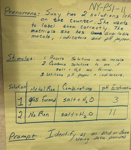 nyps111.png