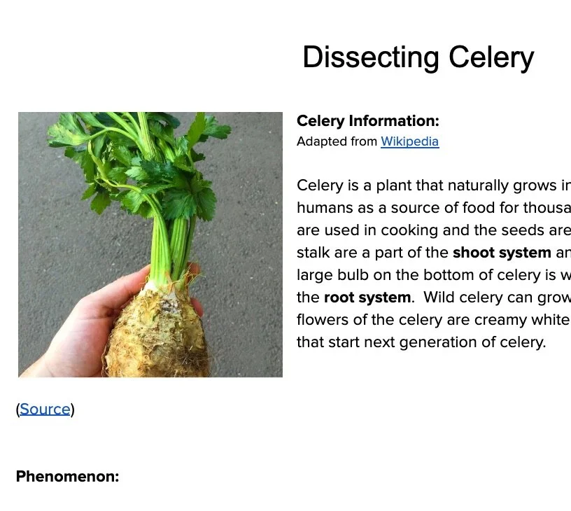 4-LS1-1_Assessment_-_Dissecting_Celery_-_Google_Docs.jpg