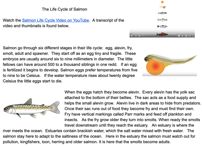 salmon.png