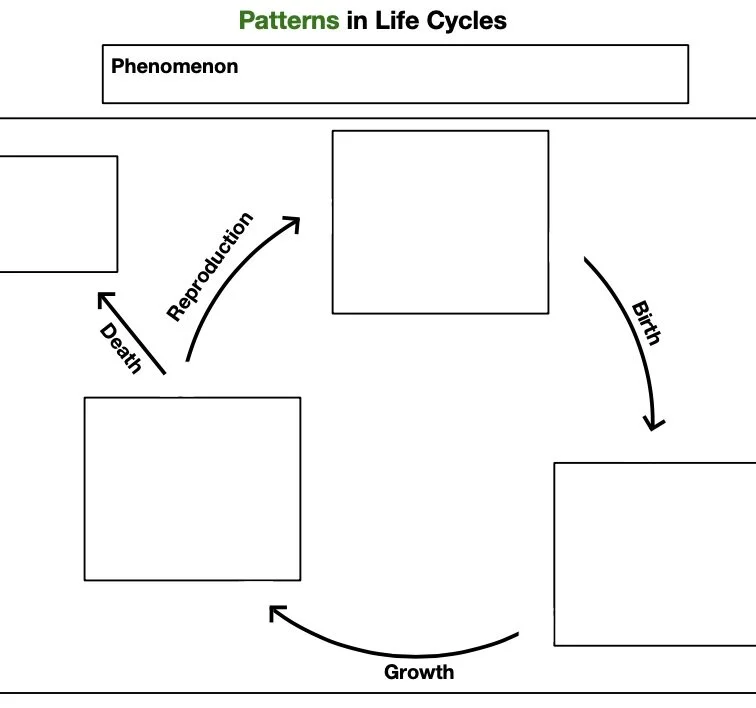 3-LS1-1_Life_Cycle_Patterns__Student_Version__pdf__1_page_.jpg