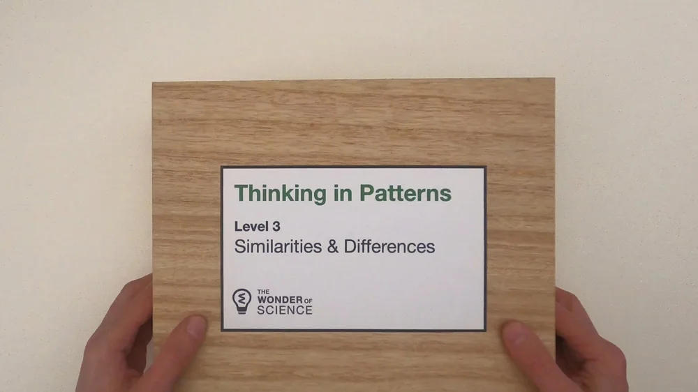 Similarities And Differences