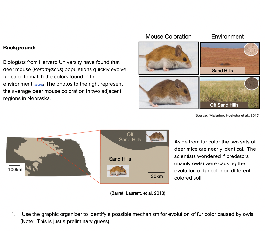 Screen Shot 2022-10-04 at 5.14.20 AM.png