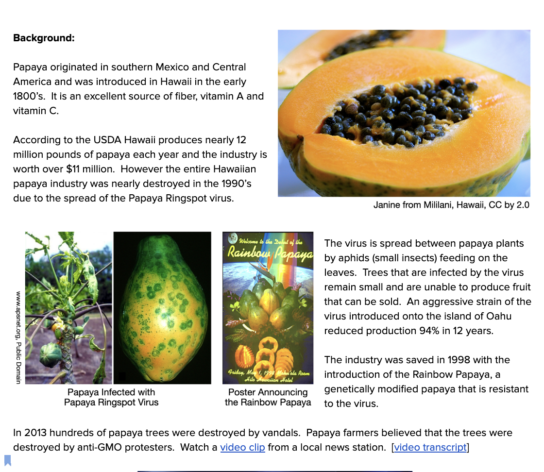 The Story of the Rainbow Papaya — The Wonder of Science