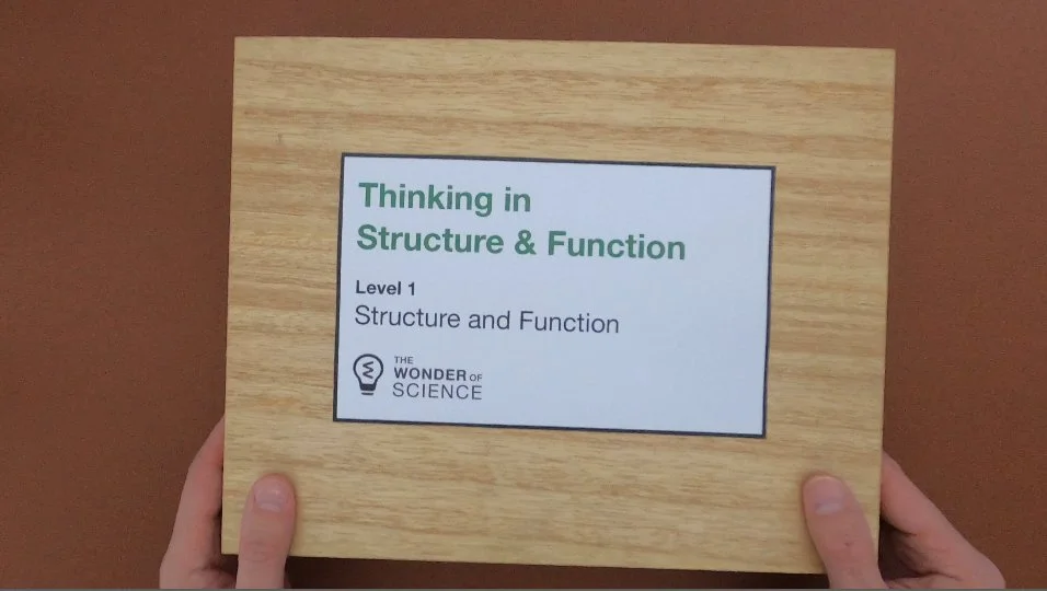 Structure & Functions - Lesson 1 - Structure and Function — The Wonder ...