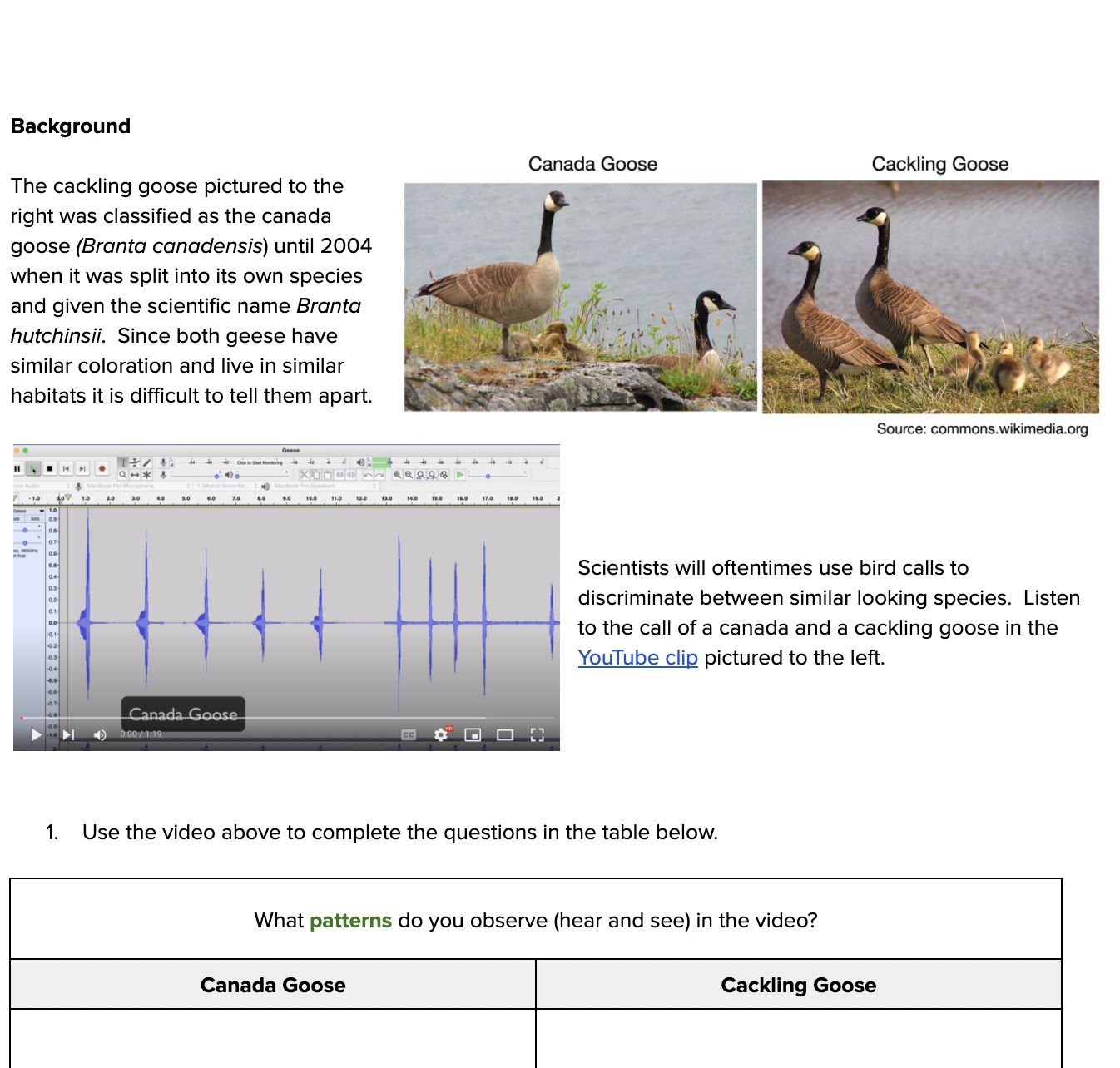 Screen Shot 2022-02-20 at 4.15.16 PM.png