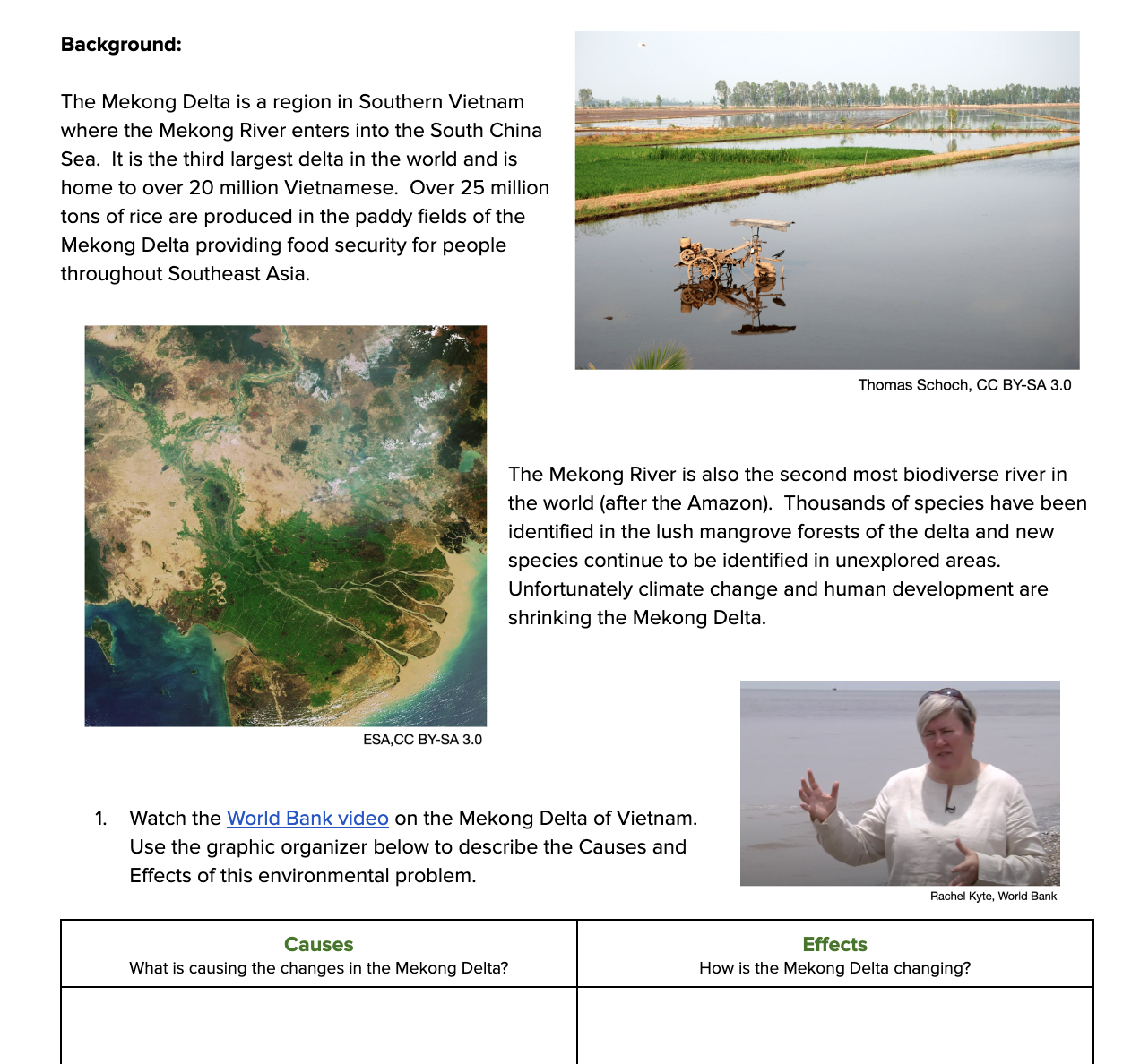 Screen Shot 2022-07-30 at 1.23.24 PM.png