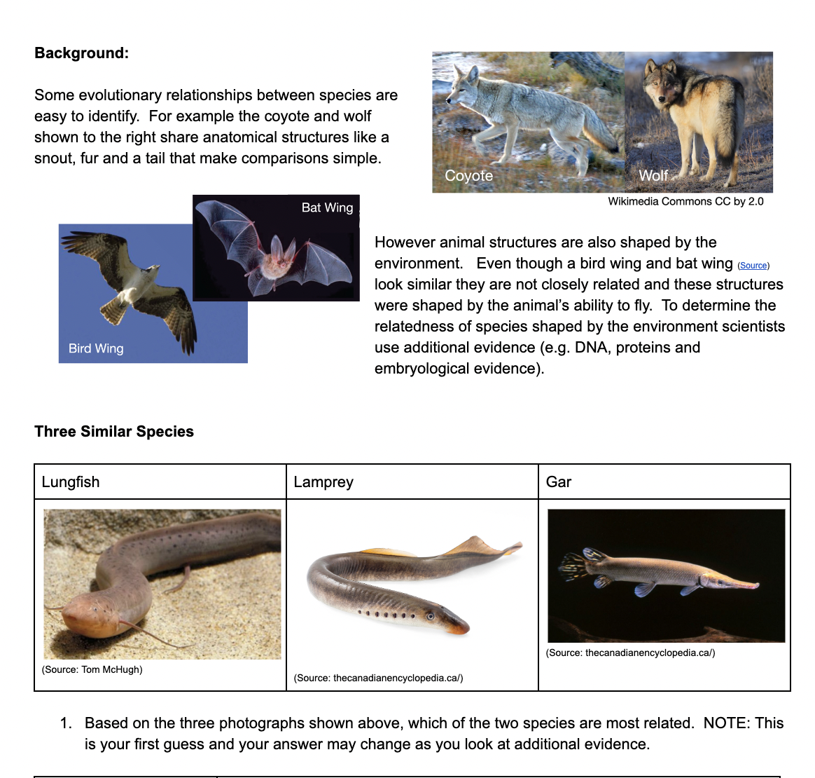 Screen Shot 2022-10-04 at 5.01.49 AM.png