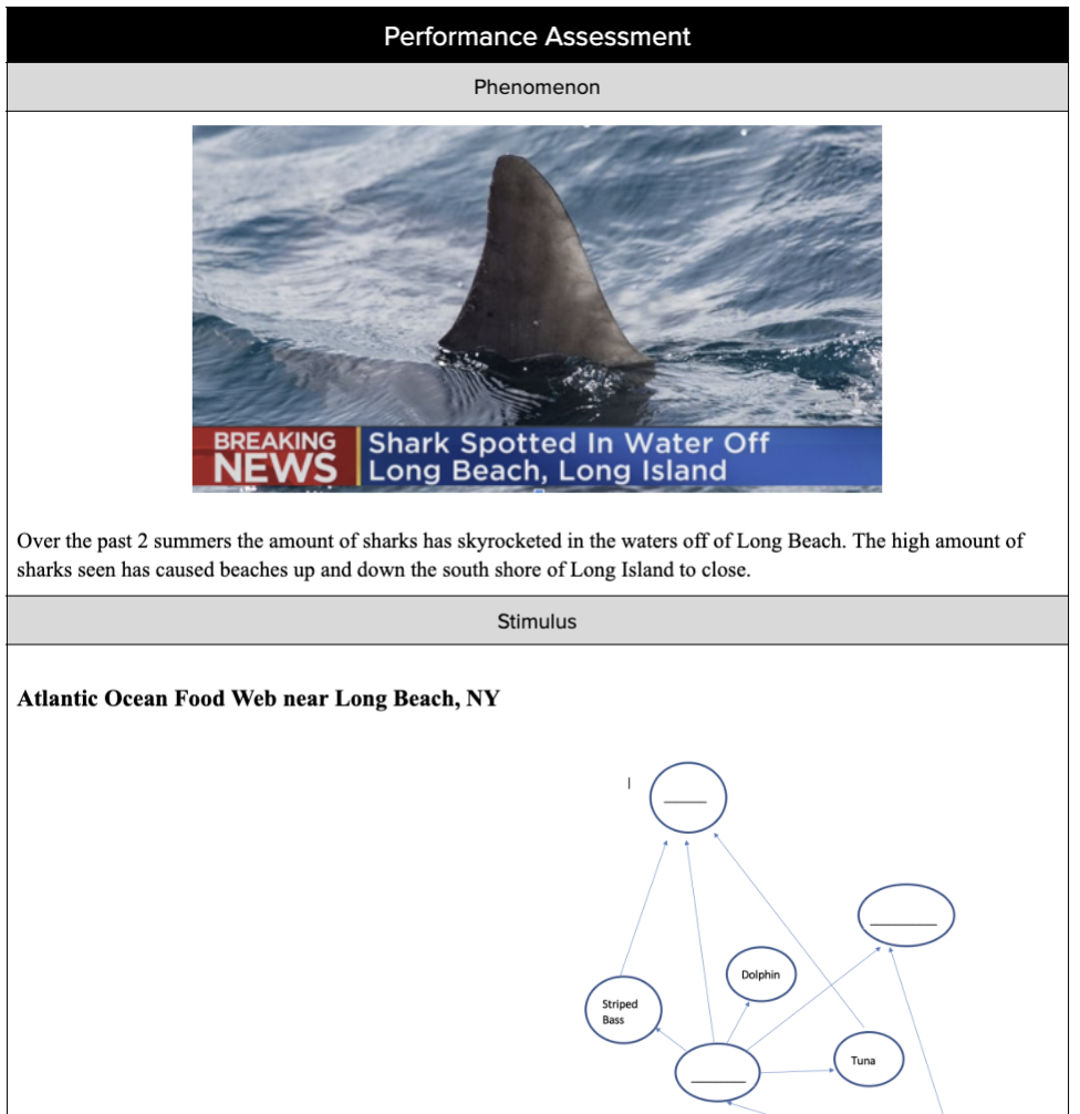 Screen Shot 2021-11-17 at 8.51.38 AM.png