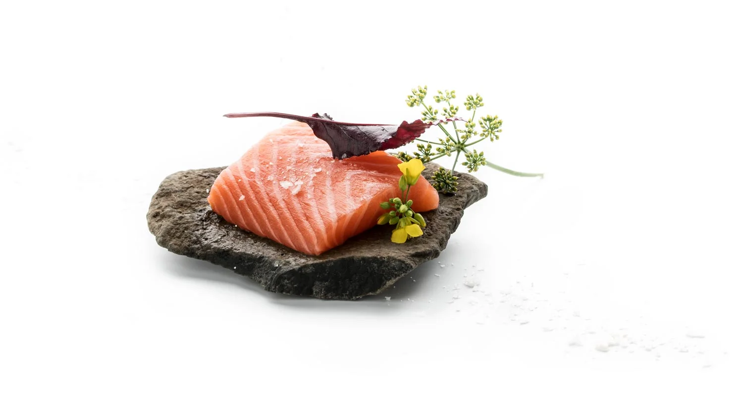 gastronomy-5.jpg
