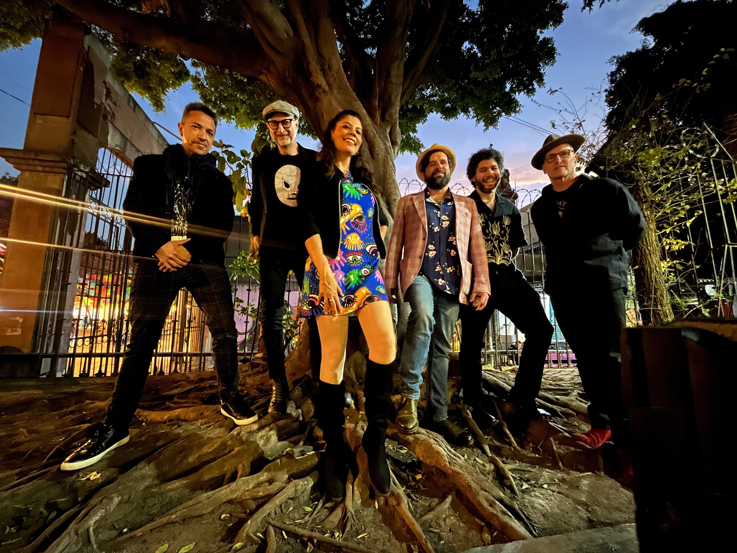 Chicha CDMX 25 tree roots.png