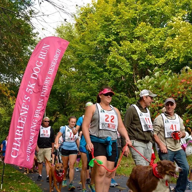 Start line @charlenesdogrun #firstannual #braininjuryawareness #twincitiesdogs #mnrunning #charlenesdogrun