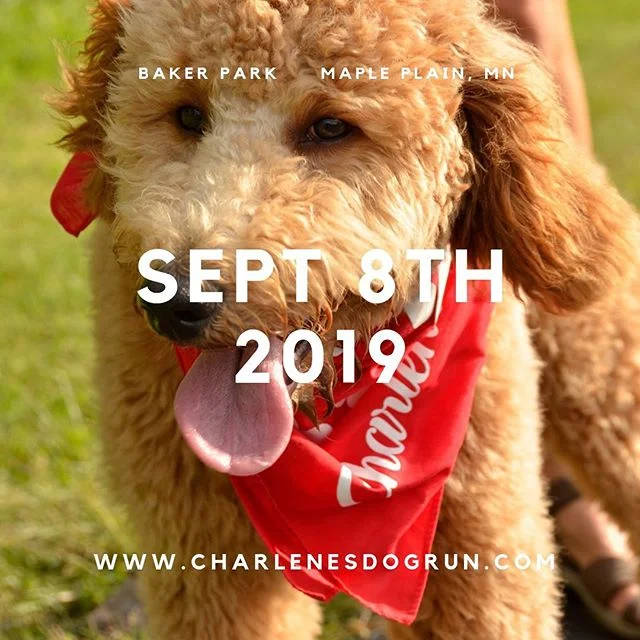 Join us with Dr. Uzma Samadani and the Neurotrauma Research Lab for the 3rd annual Charlene&rsquo;s 5k Dog. This year&rsquo;s theme is &ldquo;spine is time.&rdquo; 100% of proceeds support the Neurotrauma Research Lab at the U of M. Register online, 