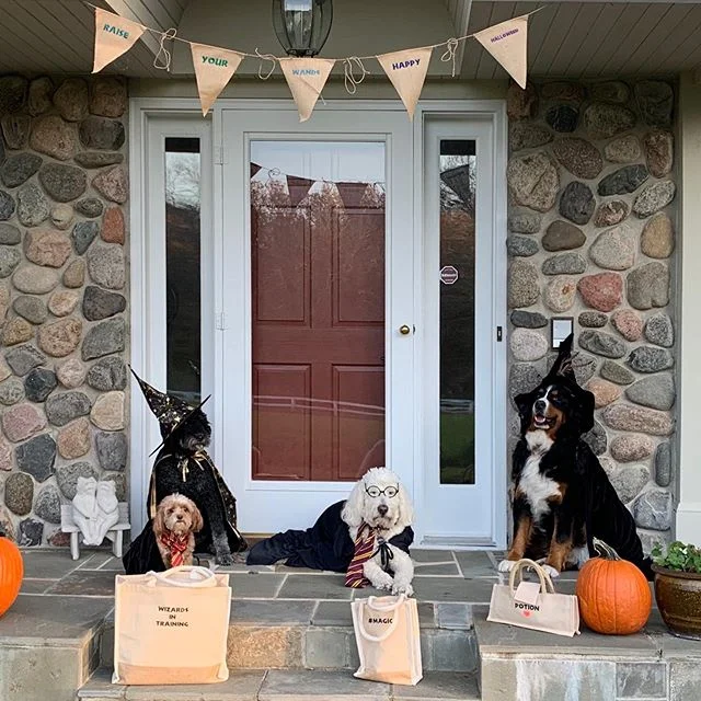 Happy Halloween from these wizards! #wizardsintraining #magic #potion #raiseyourwands #hogwarts #harrypotter #harrypawter #dogsofinsta #dogsofminneapolis #charlenesdogrun #pawsforacause #happyhalloween #mollyxrm #rachelmiriamla @rachelmiriamla @baby2