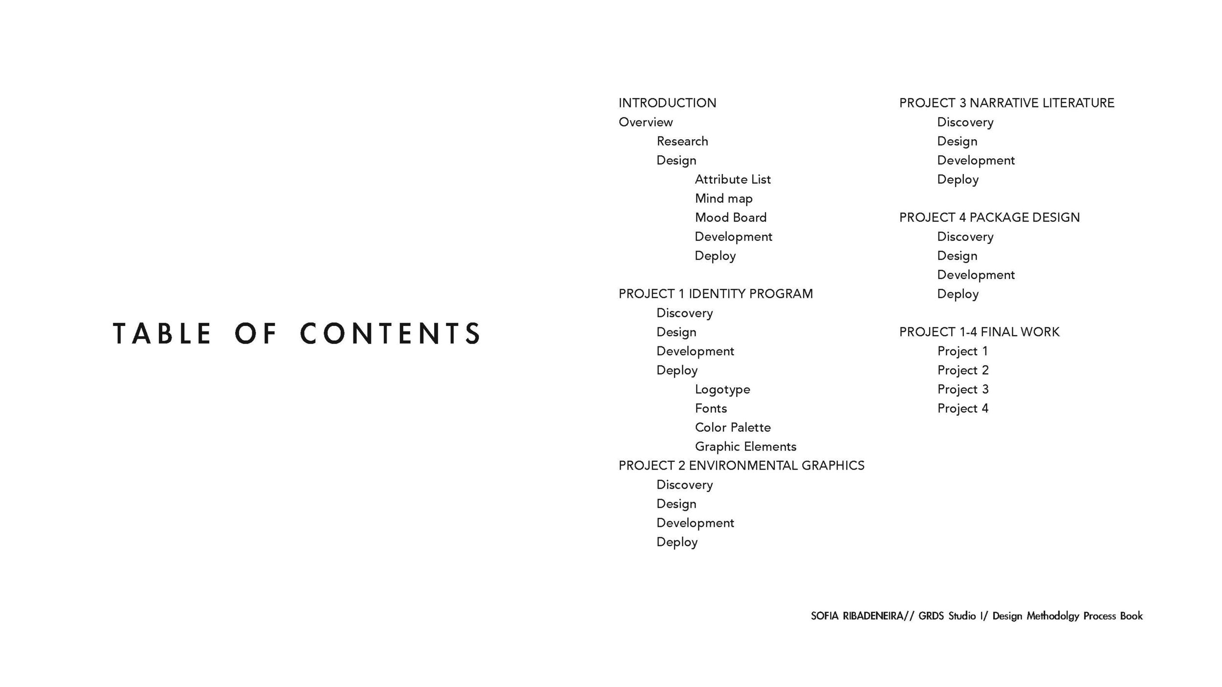Process Book _Page_02.jpg