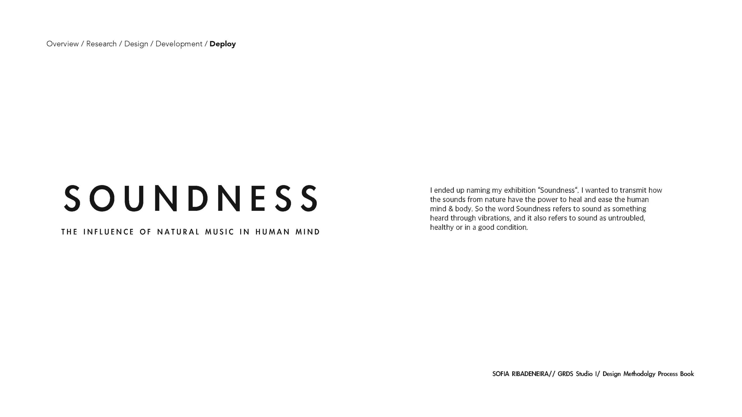Process Book _Page_09.jpg
