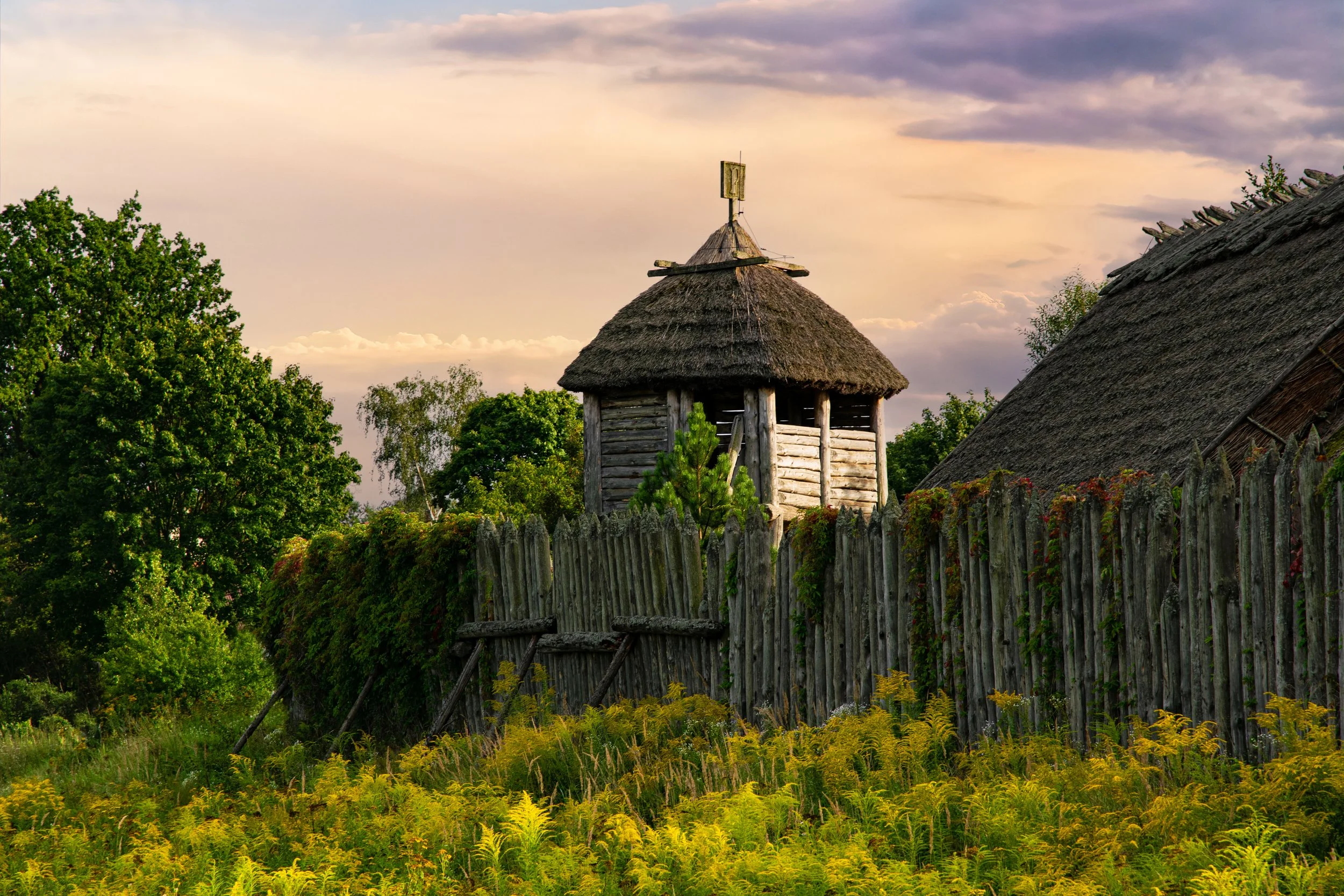 AdobeStock_643272097.jpeg
