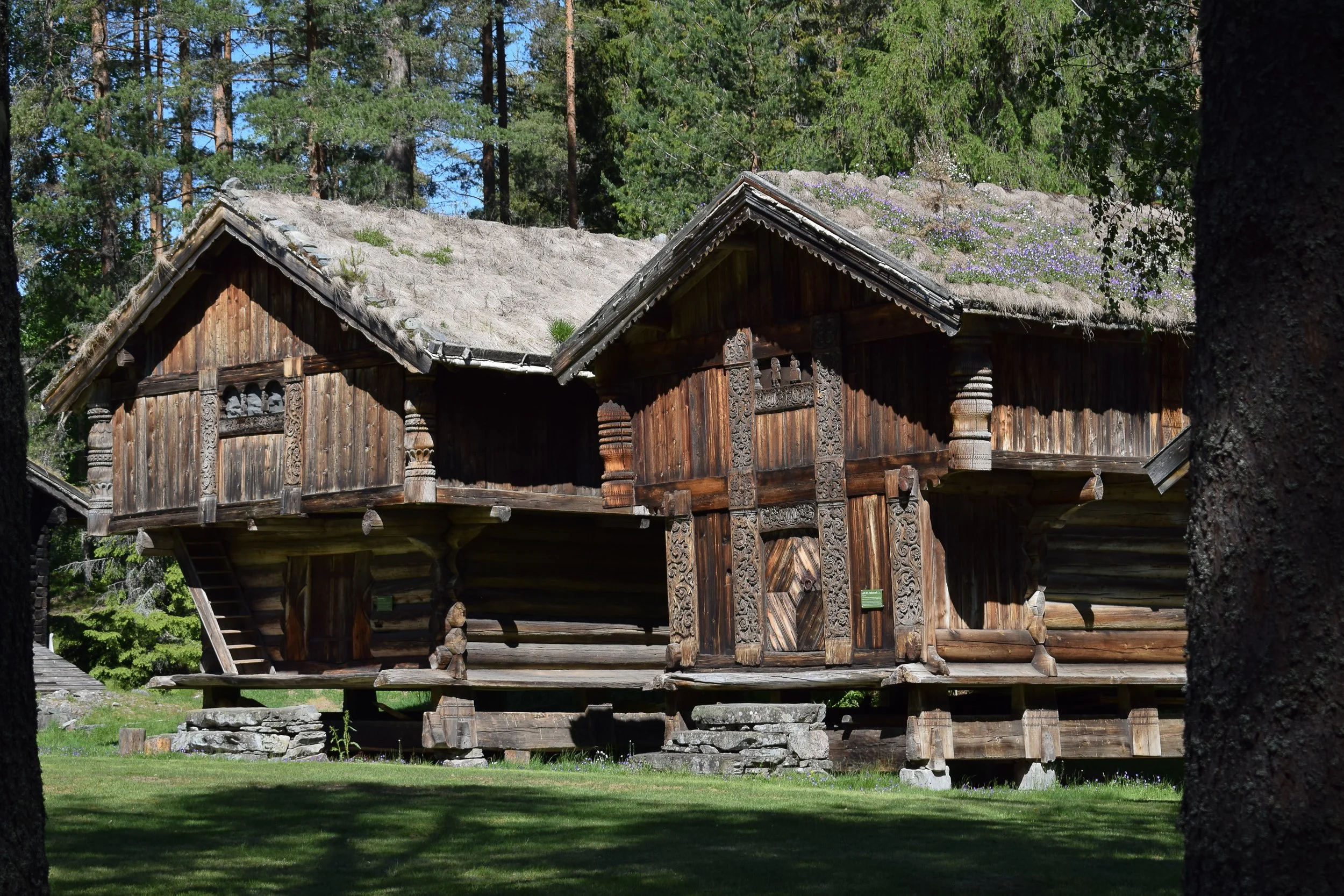 AdobeStock_325155152.jpeg