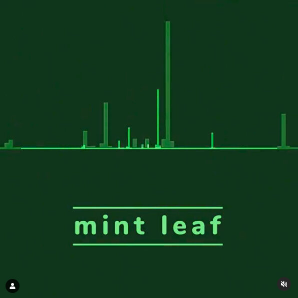 Instagram-Mint_Leaf.jpg